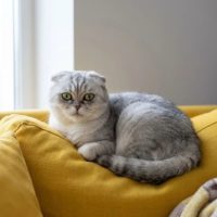 Луна, 5 лет. Москва.
