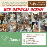 Благотворительная выставка-раздача. Москва.